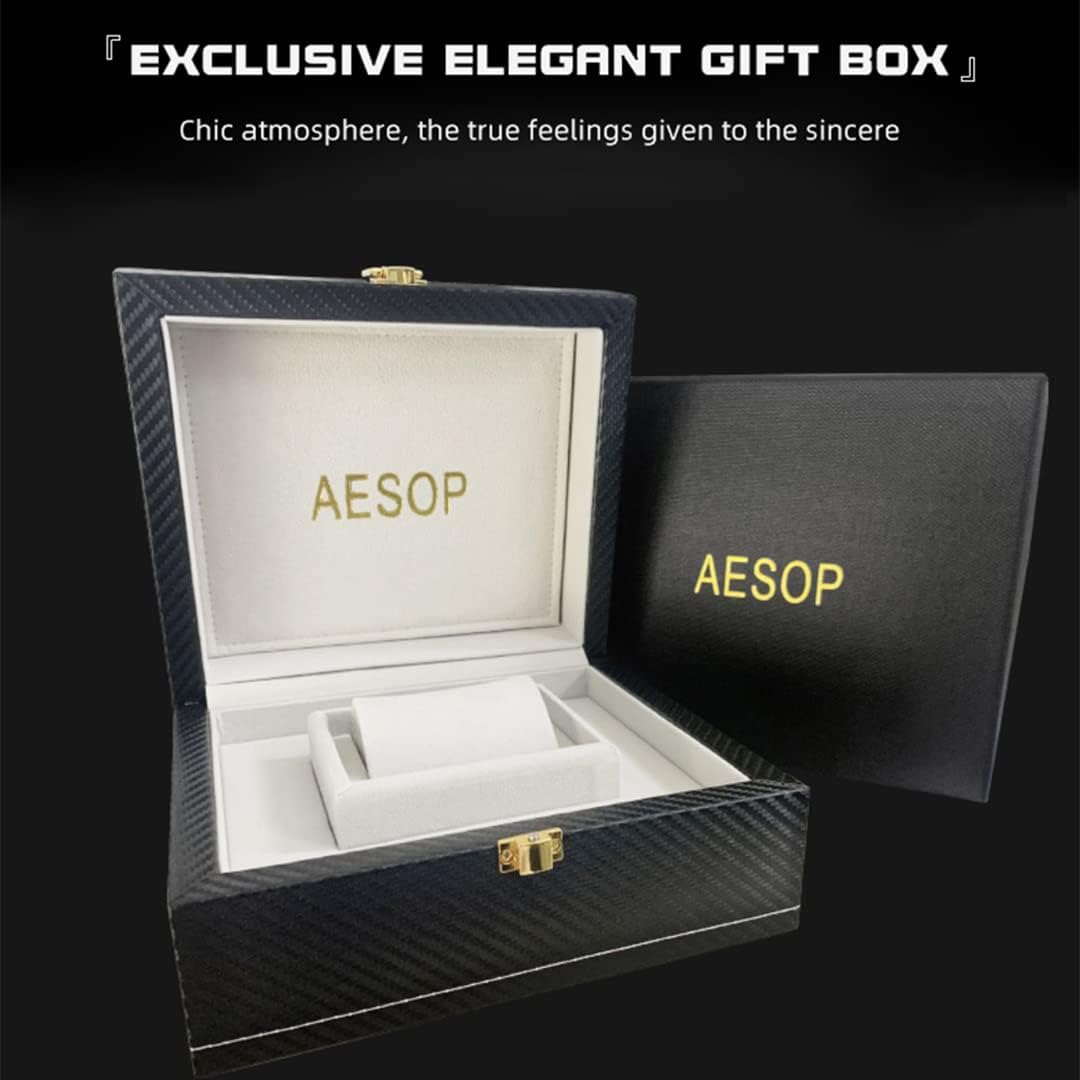 AESOP Double Tourbillon Watches Men Mechanical Hand Wind Wristwatches Stainless Steel Sapphire Crystal Waterproof Luxury Business Watch for Men 7026